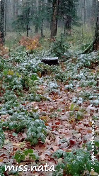 К вечеру дождь со снегом (фото 8)