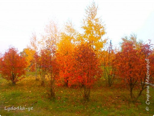 Красив наш парк осенью!!! (фото 5)