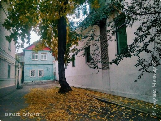 Зажатая в городе осень