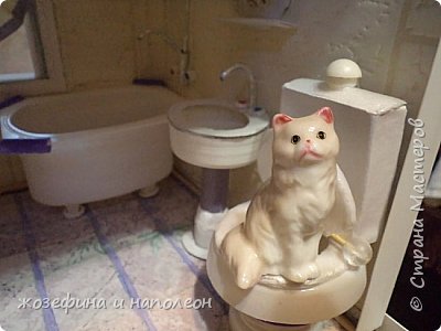 вот и кошечка (фото 21)