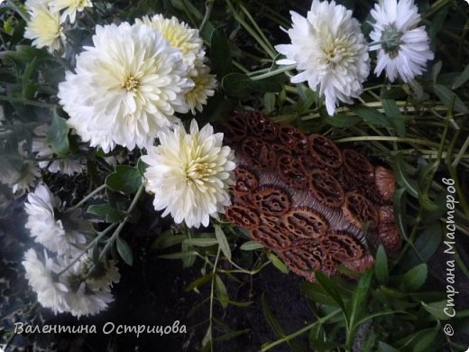...   случайно  попал  кадр  -  жалко  удалить , ведь  это  осенью  снимок  сделан... (фото 29)