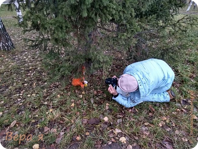 И напоследок, пара фото с фотосессии лиса. Пока я стояла буквой "зю", муж, похохатывая, фотографировал меня. (фото 26)