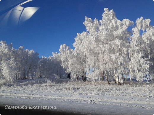 Зима-художница (фото 3)