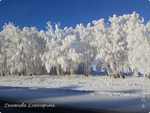 Зима-художница (фото 1)