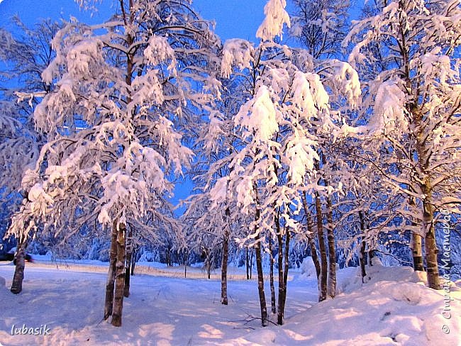 Шла по пешеходной дорожке и не могла налюбоваться красотой. (фото 31)