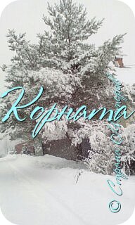 И это на даче.За один день выпала 2-х месячная норма осадков! (фото 15)