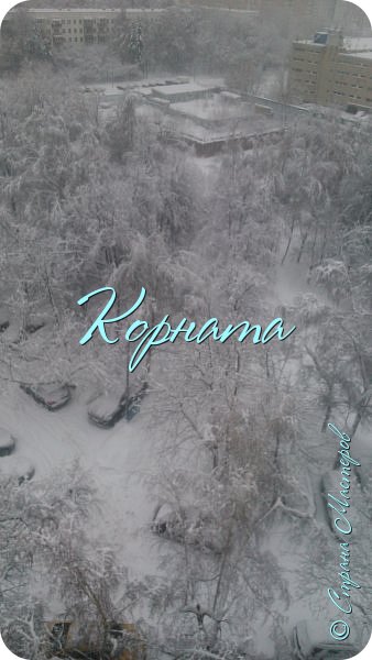 Это я во время снегопада снимала в Москве из окна. (фото 16)