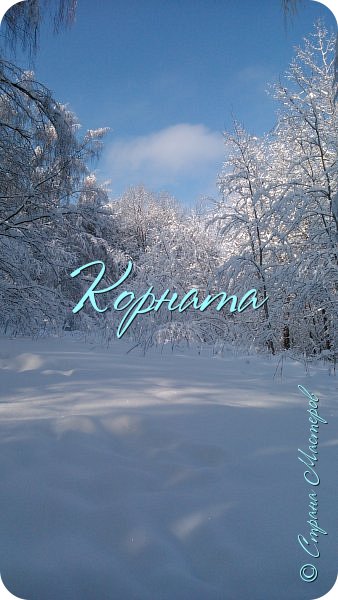 А это после снегопада.Пошла в лес, а там такая сказка!!! (фото 17)