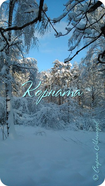 Прям как у Пушкина - Мороз и солнце, день чудесный... (фото 20)