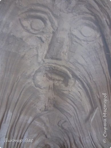 Дрова с человеческими лицами. (фото 3)