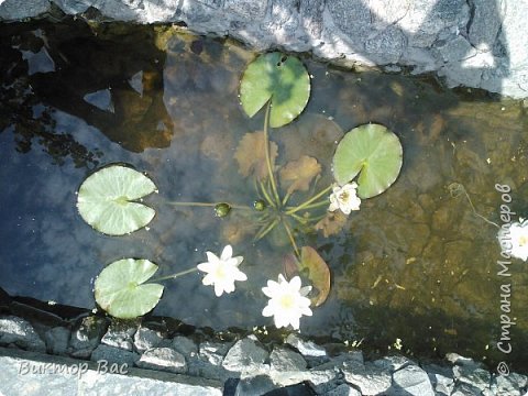 ? (фото 3)