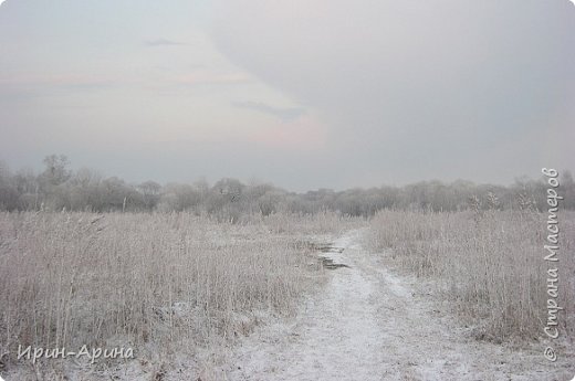 вот так красиво было у нас 8 апреля, но к вечеру вся красота растаяла...  (фото 6)