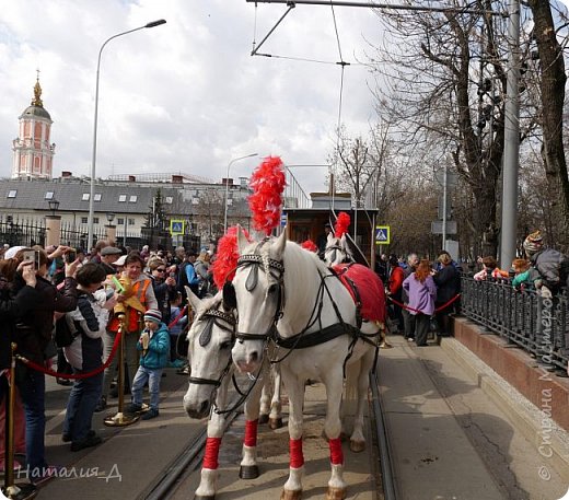 Гвоздь программы - КОНКА!!! (фото 13)