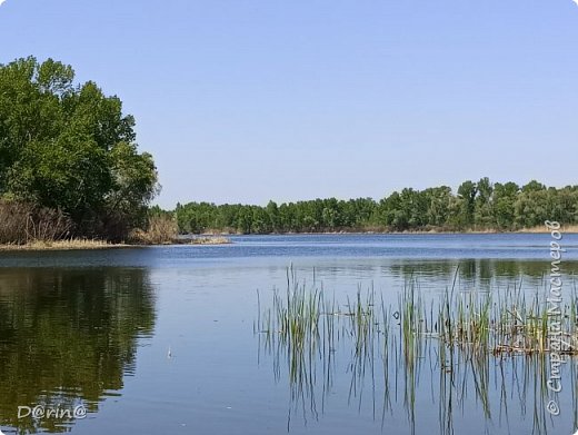 Заходите на огонек;) Мои первые флорариумы и многое другое... (фото 33)