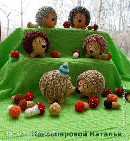 Ежи