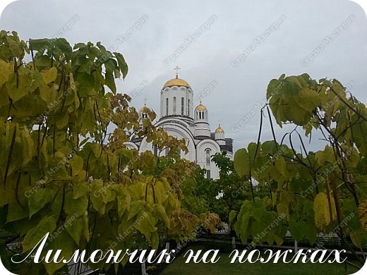 Храм во имя Блаженной Ксении Петербургской (фото 11)