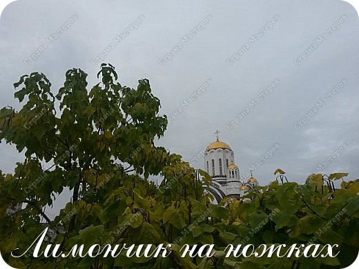 Храм во имя Блаженной Ксении Петербургской
Очень люблю такие фото - купол храма в зелени (фото 9)