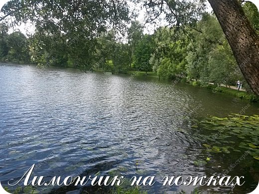 Большой естественный пруд расположен слева от входа в усадьбу.  (фото 3)