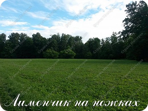 Нагуляешься по такой красоте, наполнишься вдохновением, и голову начнут посещать какие-нибудь шедевры мировой литературы.... (фото 28)