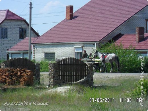 Когда я снимала, то по дороге скакали лошадки. (фото 4)