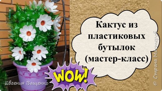 Огромный цветущий кактус - мечта каждого цветовода. И даже если растения в вашем доме не приживаются, этот кактус будет радовать вас своими колючками и цветочками каждый день в любое время года. Он хорошо будет смотреться на садовой дорожке, в беседке, на крыльце или в любом другом уголке вашего дачного участка. (фото 1)