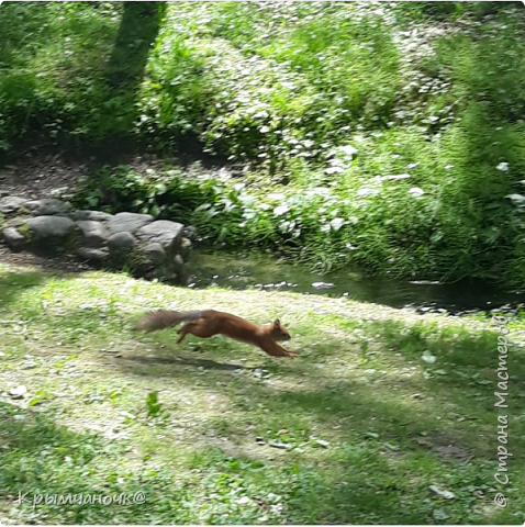 Торопится малыш)))) (фото 1)