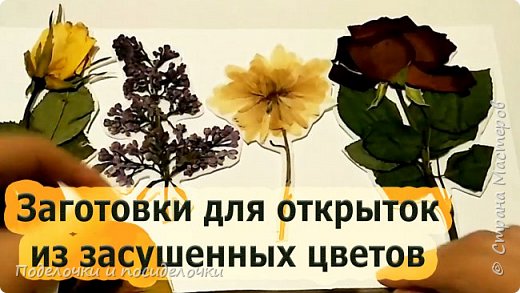 Сухоцветы. Заготовки для подарков и открыток.