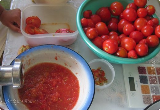 Помидоры (предварительно удалить плодоножки) пропустить через мясорубку

Мои дети активно помогают, уж очень они любят крутить мясорубку :-) (фото 3)