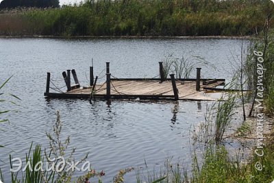 На даче, между рыбалкой  и домашними хлопотами все думала, что такое сделать. Решила максимально  использовать то, что летом выросло у нас у реки и на полянке (фото 3)