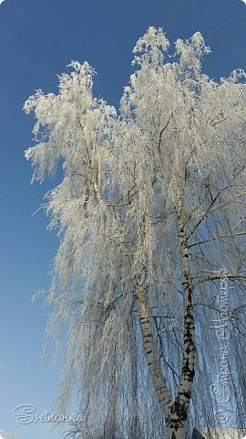 Мои подарки по игре "Волшебная сказка" (фото 17)