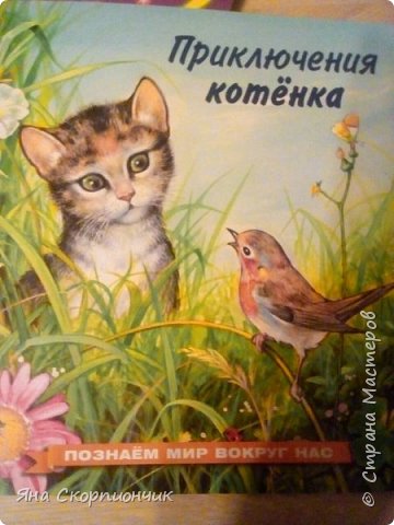 Эту книжку мы тоже рассматриваем. Очень милый котенок. Текст достаточно большой и сложный для двух-летки. Поэтому мы наслаждаемся иллюстрациями. (фото 10)