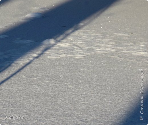 16 декабря. Снег искрится на солнце! (фото 35)