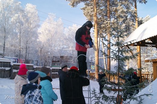 Проект "Звезда Рождества" (фото 4)