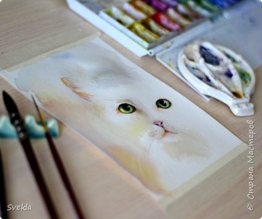 Как нарисовать кота АКВАРЕЛЬЮ, используя только 3 цвета.