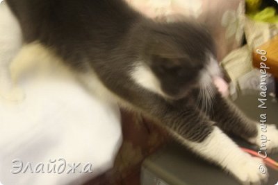 Пока Жора все не повалял сложим в ящик и  начнем потихоньку восстанавливать. Игрушки с мороза должны набрать температуру перед работой с ними. (фото 29)