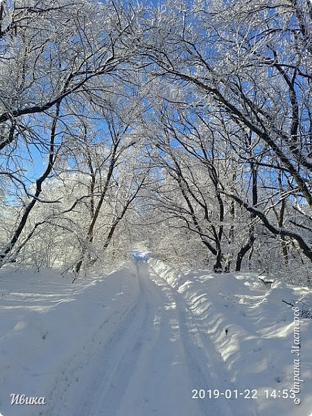 Зимушка-зима. Снежное г. СнЕжное.2019 (фото 8)