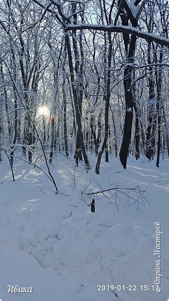 Ещё час-полтора и уже начнутся сумерки. Солнышко уже к горизонту пошло. (фото 15)