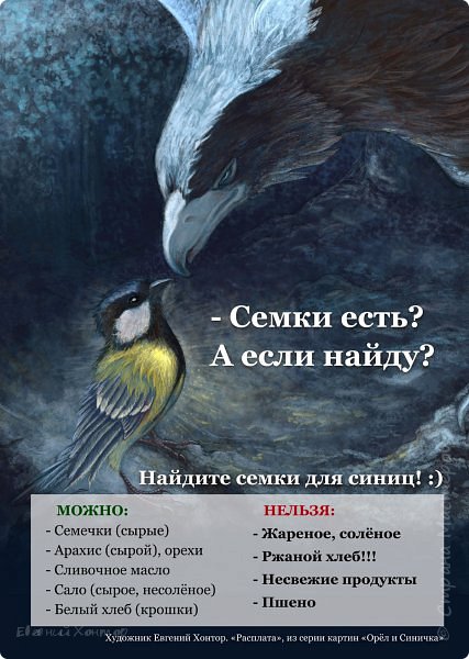 Интересное наблюдение: хотя везде пишут, что на землю корм сыпать не рекомендуется, а семечки обязательно должны быть свежими, мы заметили, что сойки предпочитают брать еду с земли, а семечки выбирают в первую очередь вчерашние.

Мне кажется, что у птиц просто должна быть возможность выбора, и это касается не только вчерашних отсыревших семечек. То же можно сказать и про питательные шарики в сетках. По интернету ходит предупреждение, мол, не вывешивайте шарики в сетках, птицы запутаются и повредят лапы. Но мы много снимаем птиц на видео, и наблюдаем тоже. Ни разу не видели, чтобы кто-то запутался или застрял. Но и шарики у нас - только один из видов подкормки. Поэтому птицы, которые не уверены в своих силах, просто на них не садятся! 
Например, гаичек и московок мы на шариках не видели ни разу. И поползней тоже. Эти птички предпочитают брать еду из кормушек. А вот большие синицы и лазоревки любят повисеть на шариках, иногда целыми гроздьями. Съедают их в первую очередь. 

Когда нет выбора, голодная птица будет рисковать, попытается добыть еду любой ценой. От этого зависит её жизнь. А когда в одном месте и шарики в сетке, и сало, и масло в кормушке, и семечки, и арахис, то птица возьмет корм оттуда, откуда ей самой удобнее. (фото 6)