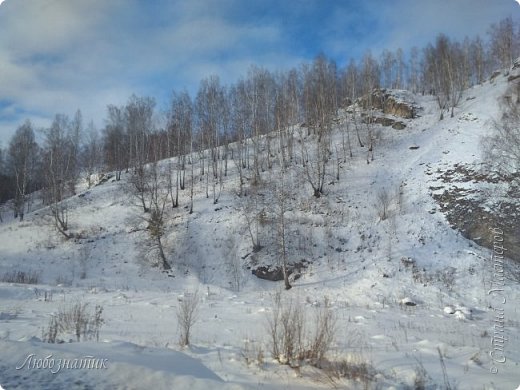 Прогулки, поездки, зима (фото 37)