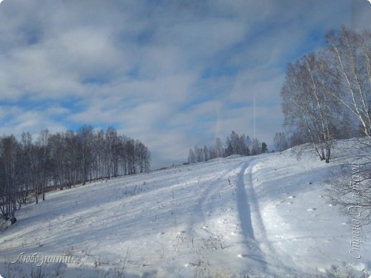 Прогулки, поездки, зима (фото 42)