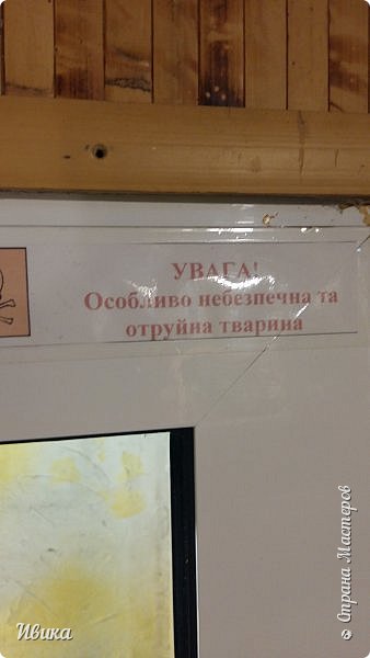 И такие надписи. Как-то они меня нервируют... и не слегка...
"Внимание! Очень опасная и ядовитая змея!" (фото 47)