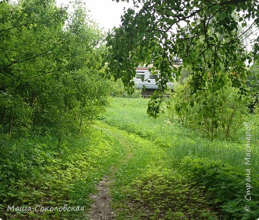 Дорога без начала и конца... (фото 14)