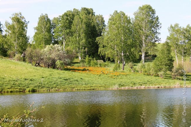 Три веселых прогулки в лето  (фото 46)