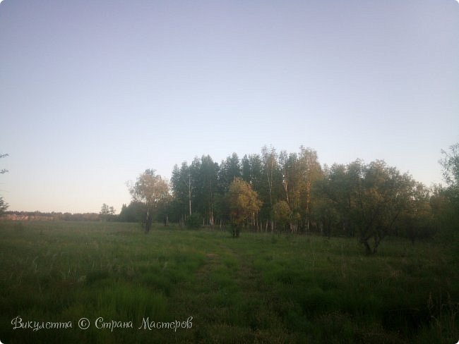 Это - в другую. Смотрите - будто дорога там в траве... Я туда пошла - а там болото) (фото 25)