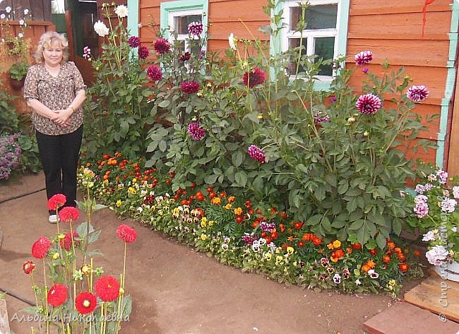 Со стороны входа на участок и везде цветы (фото 40)