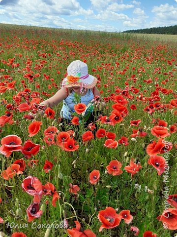 Русланочка  спряталась в маках... (фото 3)