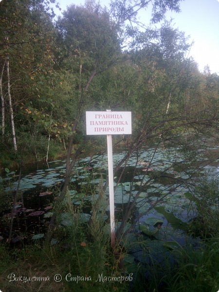 Наше озеро считается памятником природы, силами спонсоров и Детского дома было облагорожено - есть автостоянка. скамейки вдоль тропинки и даже смотровой мост, уходящий вглубь озера. (фото 3)