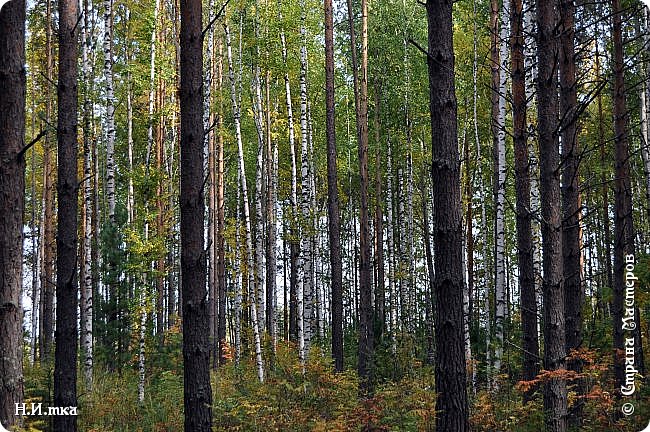 Как красиво! (фото 40)