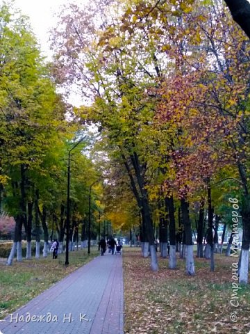 Тепло. Бабье лето. Народ гуляет, наслаждается последними погожими деньками. (фото 24)