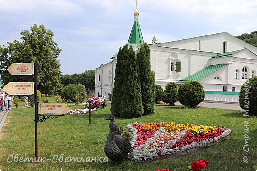 Очень понравилась клумба - павлин. (фото 29)